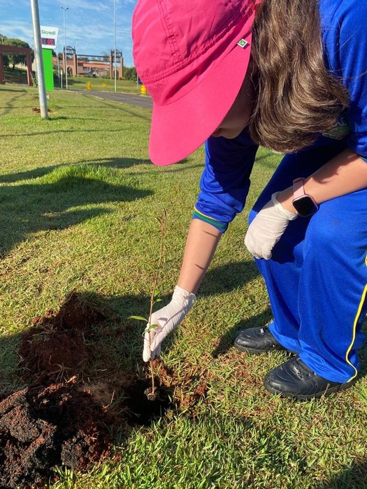 Voluntária plantando muda de árvore